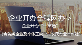 企業開辦全程網辦